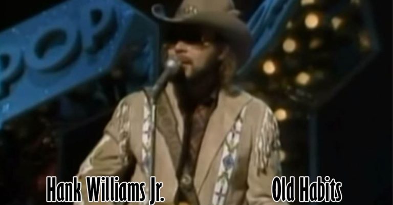hank williams jr old habits and new