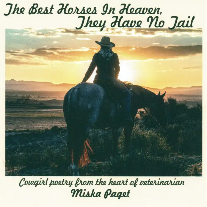 Cover Art - Miska Paget - The Best Horses They Have No Tail