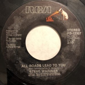 Steve Wariner - All Roads Lead To You