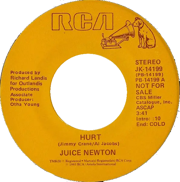 Juice Newton Hurt