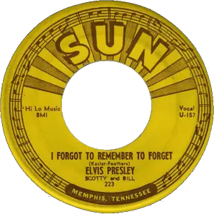 Elvis Presley - I Forgot to Remember to Forget