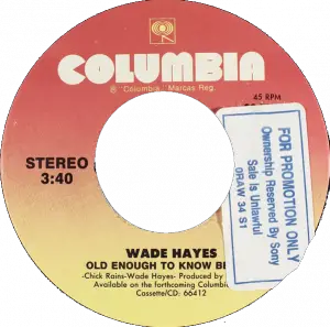 Wade Hayes - Old Enough to Know Better