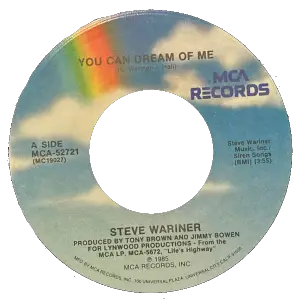 Steve Wariner - You Can Dream of Me