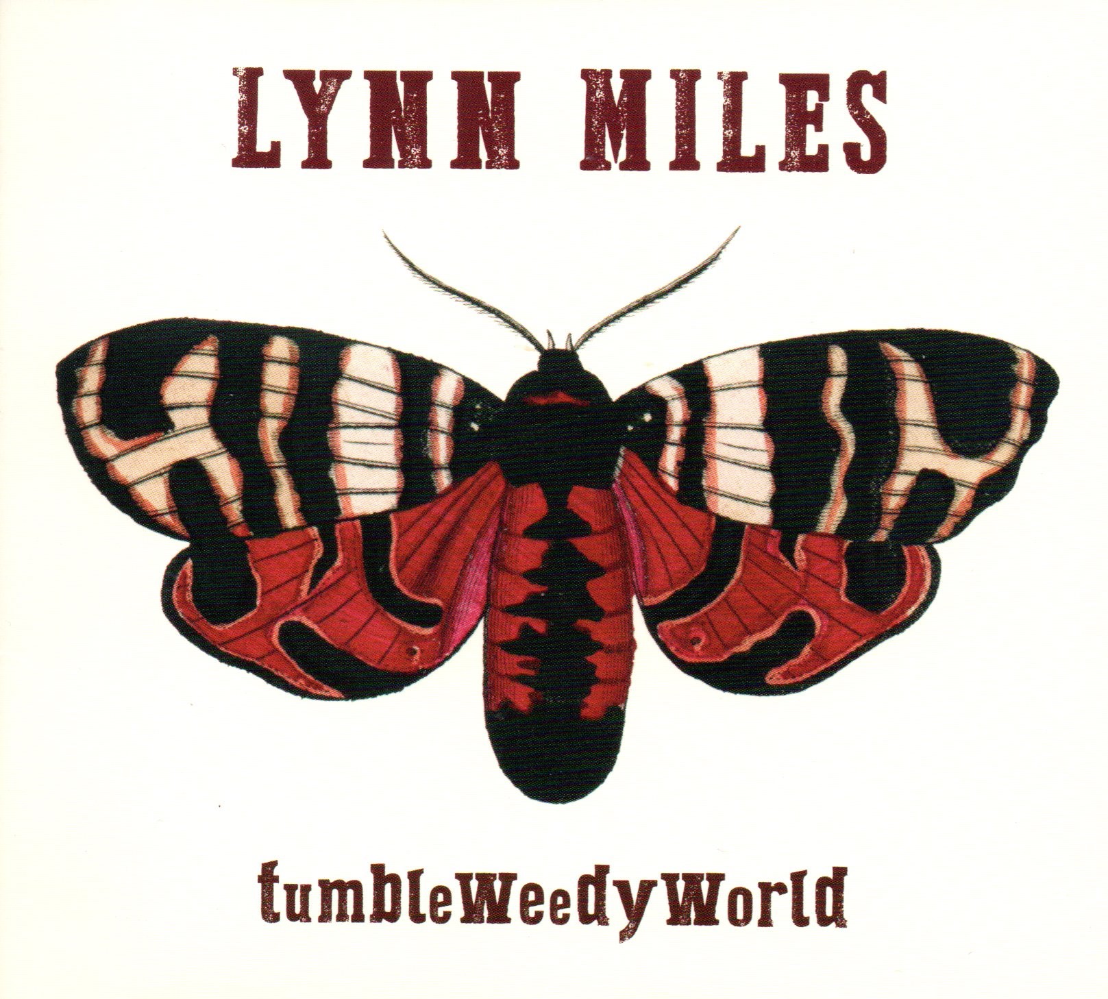 lynn-miles-tumbleweedyworld